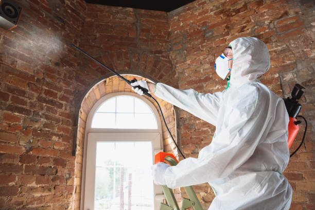 Mold Documentation for Insurance Claims in Greenville, SC